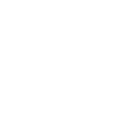 湃树科技